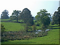 Flooded meadow