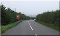 Road past Blackberry Farm