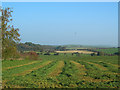 Farmland View