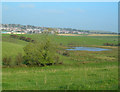 Auchenwynd Marsh