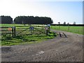 The Track To Painsthorpe Wold Farm