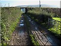 Farm road at Macrindlestone, near Girvan