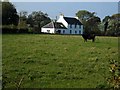 Polcardoch in the Stinchar valley