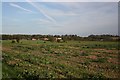 Glentworth farmland