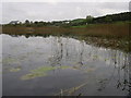 Carrigans Lough