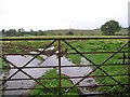 Gate at Ballysudden