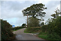 Thelbridge: Henceford Cross