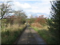 Autumn road.