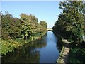 SK0504 : Wyrley and Essington Canal by John M