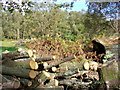 Logpile near Eastshaw Farm