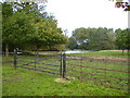 The pond in Sheriff Hutton Park