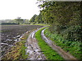 SU8526 : Track to Slathurst Farm by Colin Smith