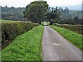 Country road at Ladyburn, Kilkerran