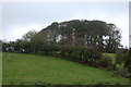 Listullyard fort near Banbridge