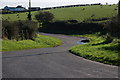 The Spring Lane near Greyabbey (3)