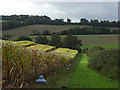 Farmland near Warren Farm