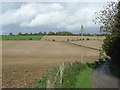 Fields, Warren Farm