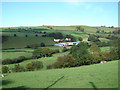 Pasture at Pwllclai