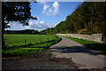 Farm Track and Bridleway