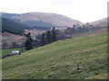 Looking up the Ettrick Valley from Scabcleuch