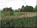 Trimmed Hedges And A Chalet