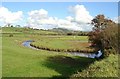 Bradiford Water Bird Reserve, Barnstaple