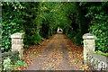 Avenue to Culdrain House.