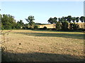 Essex / Suffolk border landscape near Borley Green