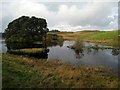 Moss Roddock Loch