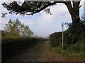 An inviting footpath