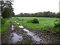 Drumrot Townland