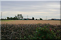 Vale of Belvoir farmland