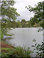 TQ5635 : The Lower Lake, Eridge Park, near Tunbridge Wells by Andrew Howey