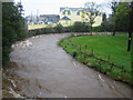 V9071 : An NeidÃ­n (Kenmare): Finnihy River by Nigel Cox