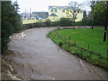 V9071 : An Neidín (Kenmare): Finnihy River by Nigel Cox