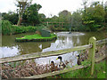 Pub Ducks, Fountain Inn