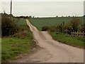 Westley Lane leading to Westley Farm