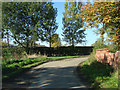 Bend in the Lane near Shoemakers Hill, Fenwick