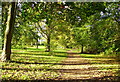 Bluebell Walk Abbots Farm Rugby