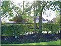 Houses and trees near Middlesteads