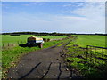 Footpath south of Ulgham Fence