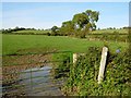 Bridleway to Shipston on Stour