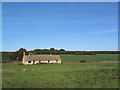 Deserted farm building south of Bushey Wood