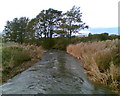 River Ellen near Harriston