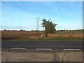 Power lines over Redmarshall Road