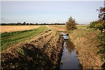 SK8771 : Ox Pasture drain looking north by Richard Croft