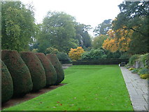 SX7962 : Dartington Hall gardens by Derek Harper