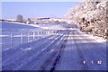 NY7385 : Snow scene near Smalesmouth by Angus