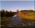 Lane near Gilestown