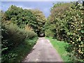 Footpath Near Teddesley